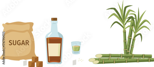 Sugarcane product vector illustration, sack of sugar, rum bottle, glass with juice, sugar crystals, white background for culinary and agricultural design