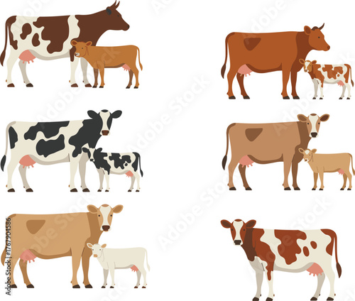 Cow and calf vector illustration, eight pairs in different breeds and colors, white background for agriculture, livestock, and farm animal design