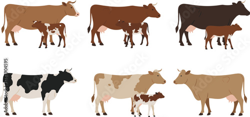 Cow and calf vector illustration, six pairs in different colors and breeds, white background for agriculture, livestock, and farm animal design
