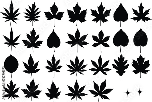 Leaf silhouette vector illustration, 30 black leaf shapes in grid layout, botanical diversity, white background for plant identification and design reference