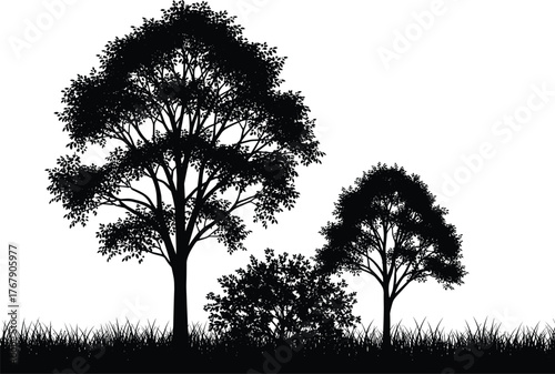 Tree silhouette vector illustration, natural landscape with two trees, shrub, and grass, black on white background for nature and design reference