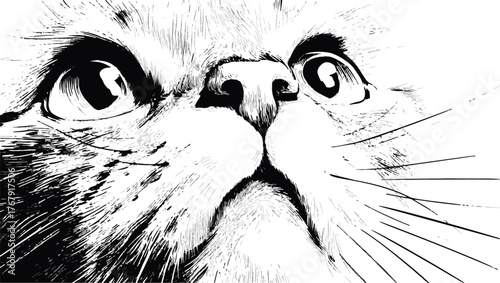 Cat face sketch, hand drawn close up with expressive eyes and whiskers — stock vector