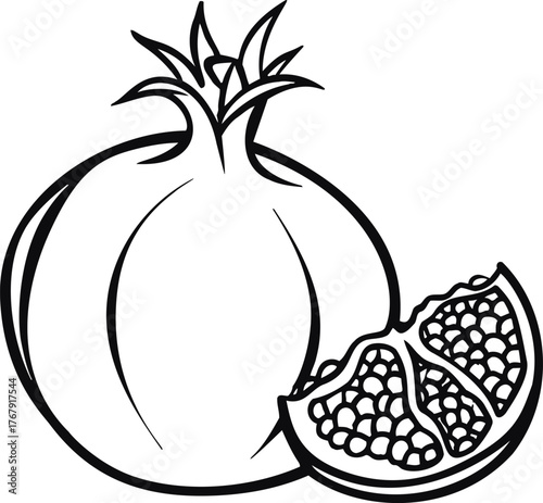 Pomegranate sketch hand drawn with whole fruit and cut section showing seeds — stock vector