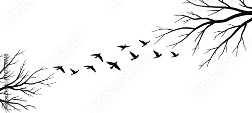 Birds flying between tree branches silhouette cartoon illustration, symbolic transition and expressive seasonal motion artwork for design