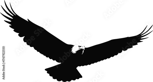 Eagle in flight silhouette cartoon illustration, symbolic freedom and expressive strength artwork for design, nature, and education