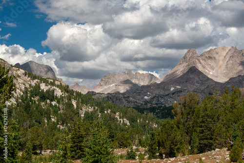 Wind River Range with trees and mountains