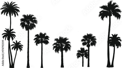 Palm tree silhouettes in a row cartoon illustration, symbolic tropical diversity and expressive botanical form artwork for landscape design