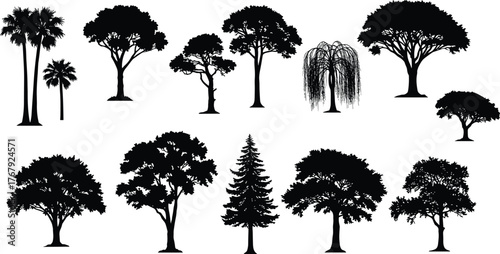 Tree silhouettes cartoon illustration, symbolic botanical diversity and expressive natural form artwork for landscape, design, and education