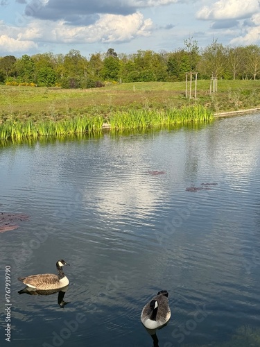 view of a small pond