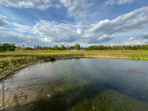 view of a small pond