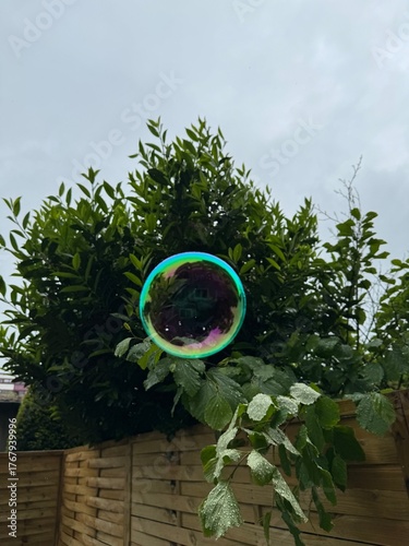 soap bank in the air