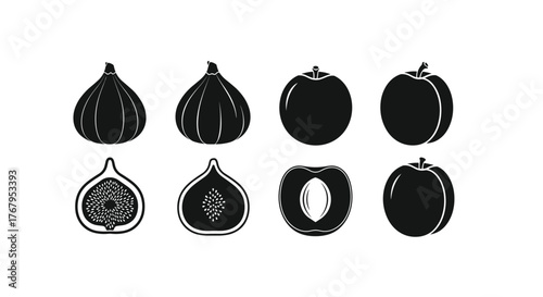 Black and white illustration of fruits and their cross sections