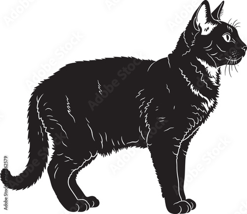Detailed black cat silhouette standing alert curious full body profile view elegant feline animal outline pet companion