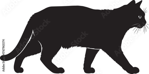 Silhouette of a black cat walking profile view elegant feline pet companion domestic animal graceful movement animal art profile