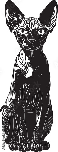 Striking black sphinx cat silhouette standing proudly with alert ears capturing feline elegance unique pet breed art