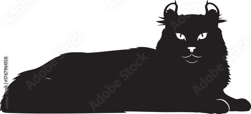 Striking black cat silhouette with distinctive curled ears lying down looking forward with bright eyes for your graphic design projects