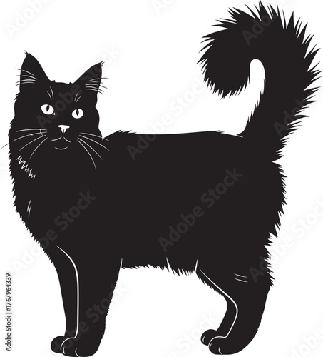 Elegant black cat silhouette standing tall with fluffy tail full body side view domestic feline animal art for design