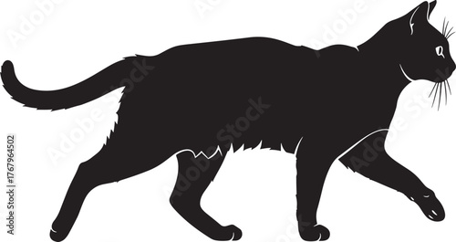 Silhouette of a walking black cat with tail extended featuring detailed fur texture and alert eyes perfect for graphic design elements