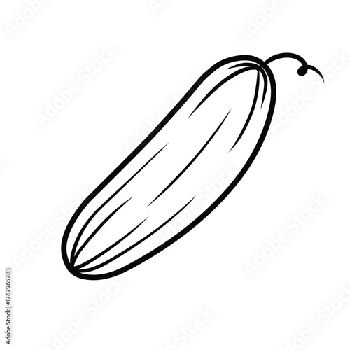 Fresh Cucumber Vegetable with Vine Tendril - Healthy Food Outline Vector Icon