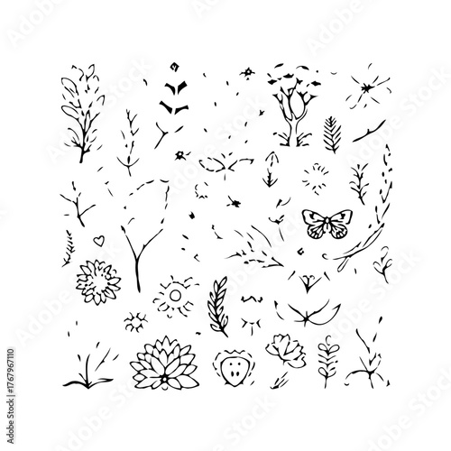 Delicate sketched natural elements forming a harmonious pattern for botanical illustrative designs