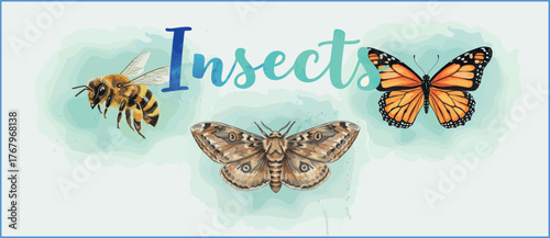 Watercolor insect set featuring a bee, moth, and monarch butterfly. Hand-painted style with natural hues and soft shadows