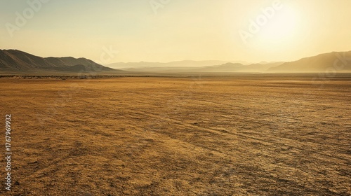 Vast, sun-drenched desert expanse