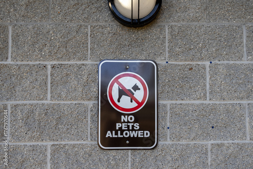 no pets allowed sign on brick wall