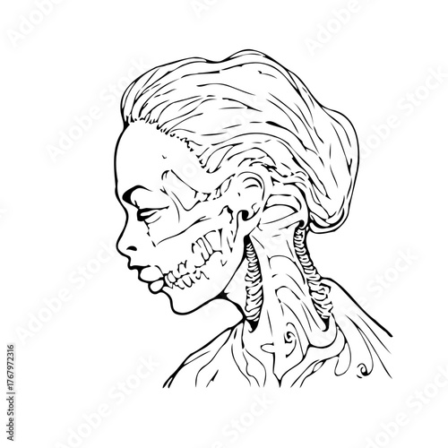 Elegant anatomy illustration combining human form with skeletal and muscle structure black and