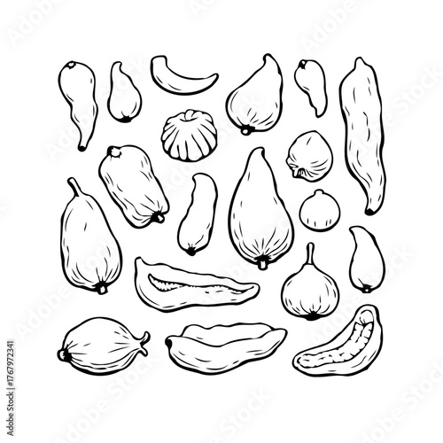 Elegant botanical fruit compilation displaying whimsical contours and graceful silhouettes in