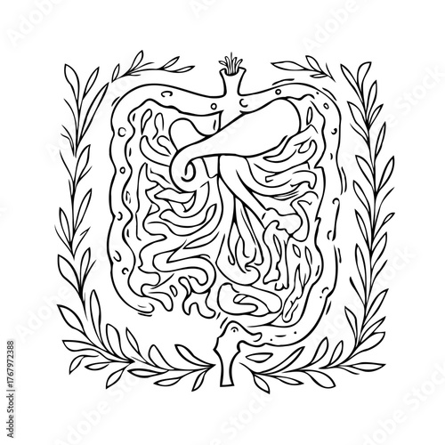 Elegant digestive system illustration with organic botanical border creating a healthy lifestyle