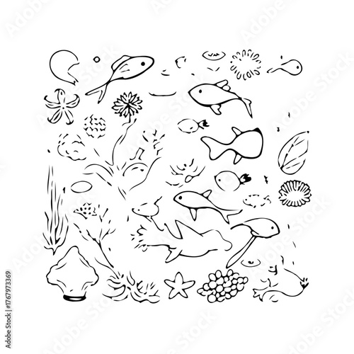 Hand-drawn aquatic life forms illustration depicting a marine ecosystem in a whimsical style