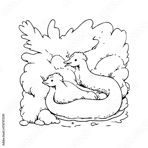 Illustration of serene waterfowl resting in tranquil surroundings with clean lines offering a
