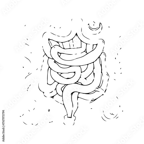 Intestinal illustration depicting the human digestive tract and system for medical purposes and