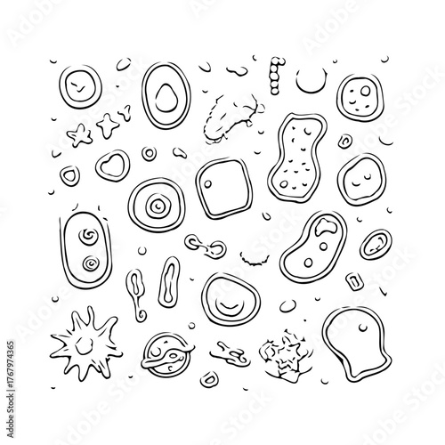 Monochrome microbiological forms collection, sketch of various microorganisms and microscopic