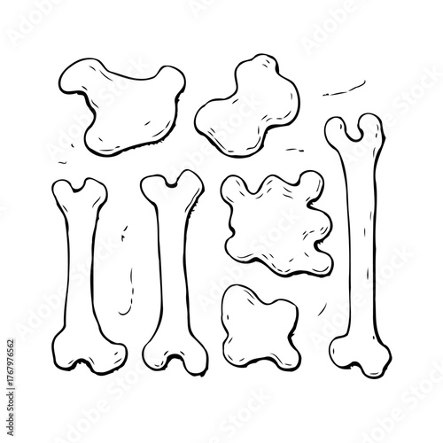 Skeletal remnants unearthed artistic rendering bone fragments and shapes anatomical illustrations