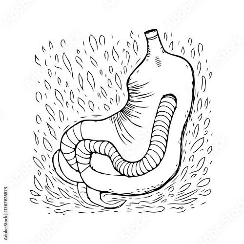 Stylized human stomach anatomy artwork, digestive system illustration showcasing internal organs