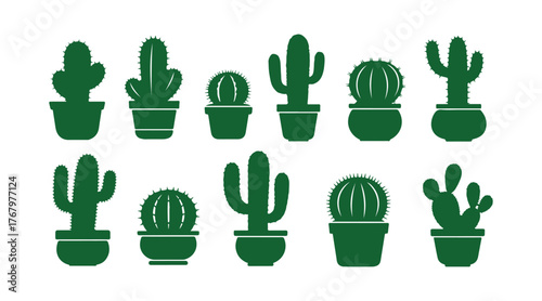 Collection of green cactus shapes in pots. Standalone vector drawing on a white backdrop