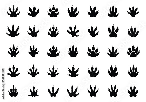 Vector collection of diverse animal paw prints arranged in rows, graphic design, plain white background, top-down view, creative vector concept