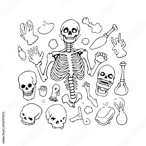 Whimsical skeleton and bone collection creating a bizarre and engaging artistic drawing
