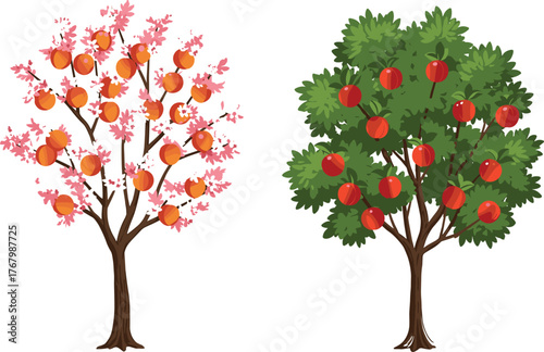Fruit trees illustration with pink blossoms and ripe fruits, seasonal orchard design, botanical farming vector, natural agriculture artwork, tropical garden foliage