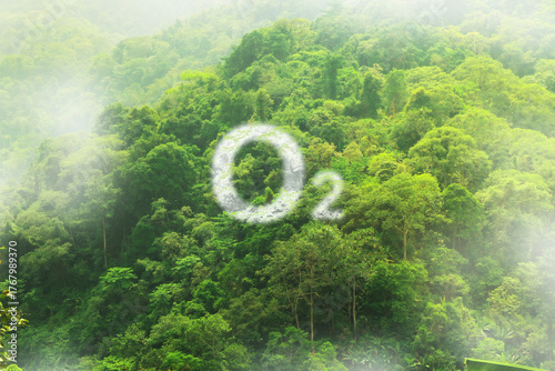 White O2 oxygen symbol floats above a misty green jungle symbolizing clean air, nature, and environmental health.