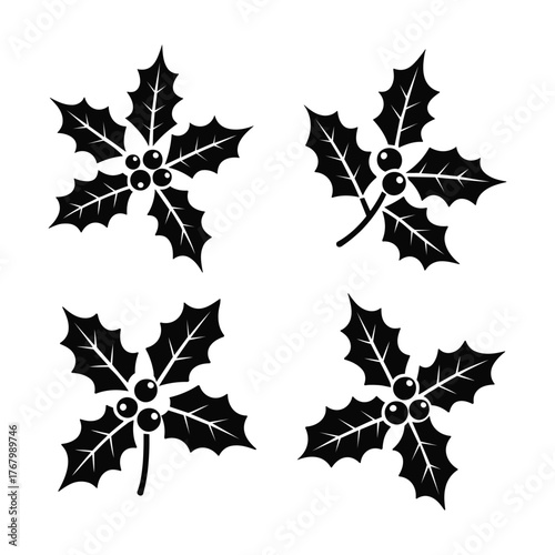 Festive holly berry illustration set for holiday season greeting cards and decorations with classic Christmas themes and simple vector designs for invitations