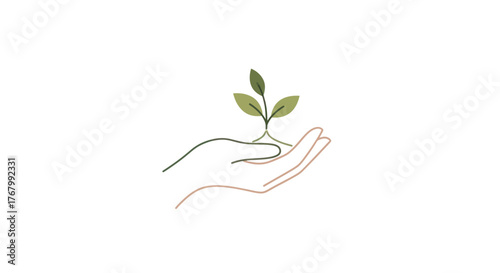 Hand holding a small plant representing growth and sustainability in nature.