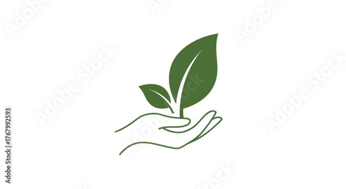 Hand holding a growing plant representing nature and environmental protection.