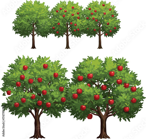 Vector illustration of apple trees with red fruits in orchard rows, comparing productivity, harvest abundance, agriculture growth, and farming concept design