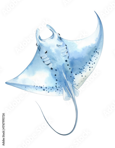 Watercolor Manta Ray Illustration Graceful Ocean Creature in Blue and Gray.
