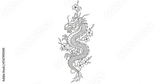 Detailed sketch illustration of a graceful dragon entwined with blooming cherry blossoms