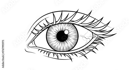 Striking monochromatic eye illustration featuring intricate line work for design or art projects