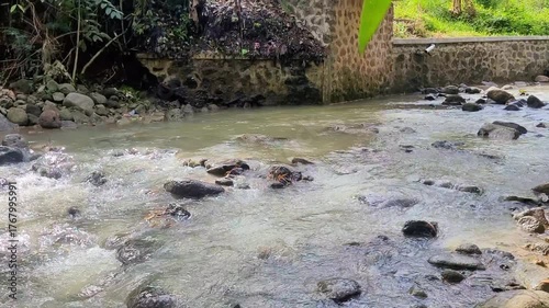 a video of the rushing flow of a clear and refreshing river	