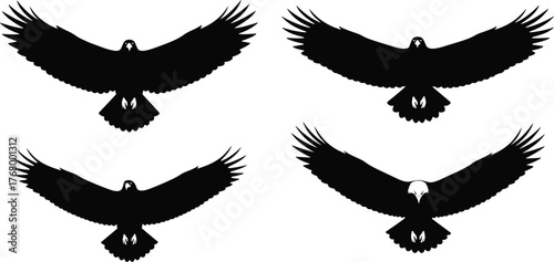 Bird of Prey Silhouette Vector Set Featuring Flying Eagles and Hawks in Frontal View with Spread Wings and Symmetrical Flight Poses